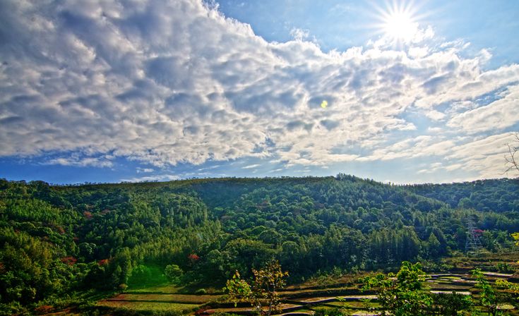 Exploring Telangana's Anantagiri hills